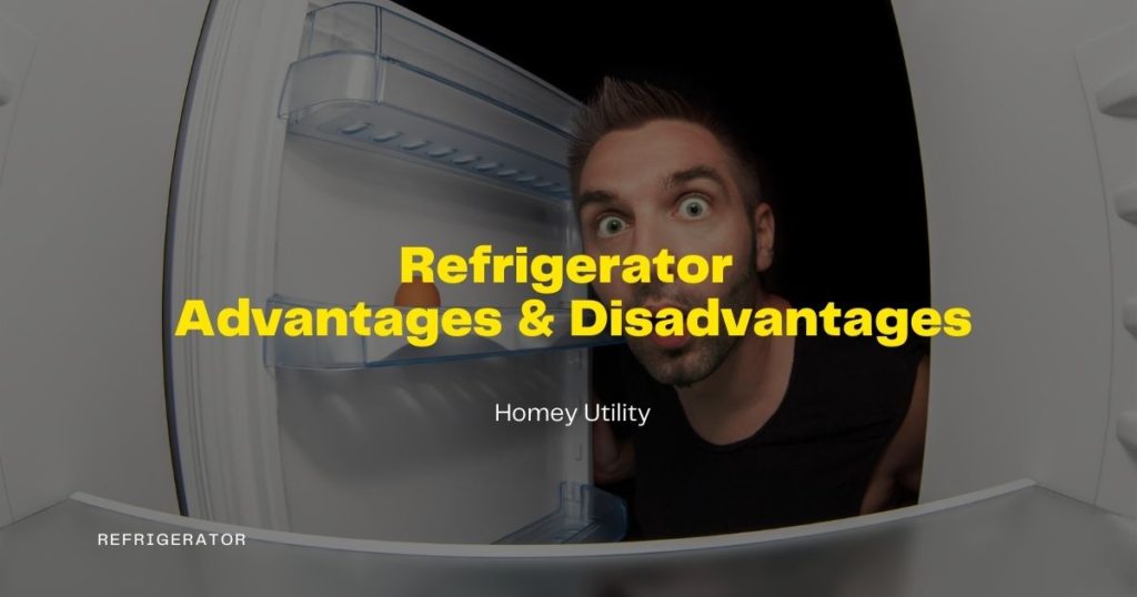 Advantages an Disadvantages of a Refrigerator